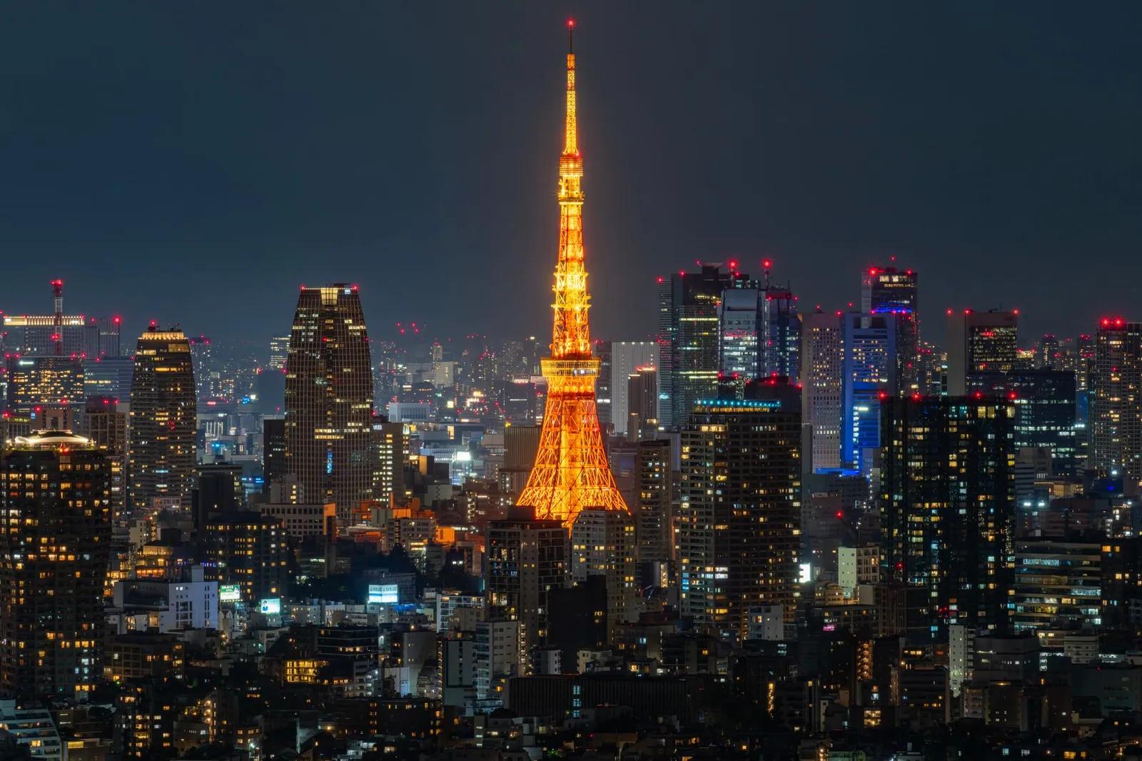 A night view of Tokyo Tower glowing amid the skyscrapers of Tokyo, Japan
