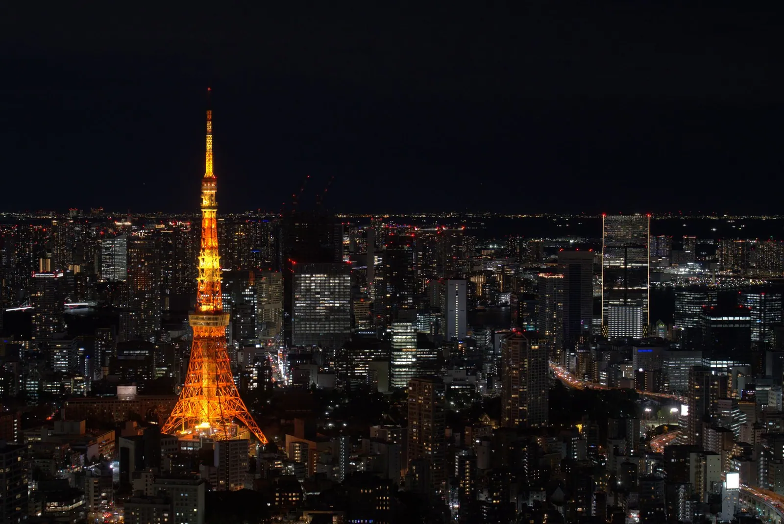 A view of Tokyo Tower and city lights at night, Tokyo, Japan