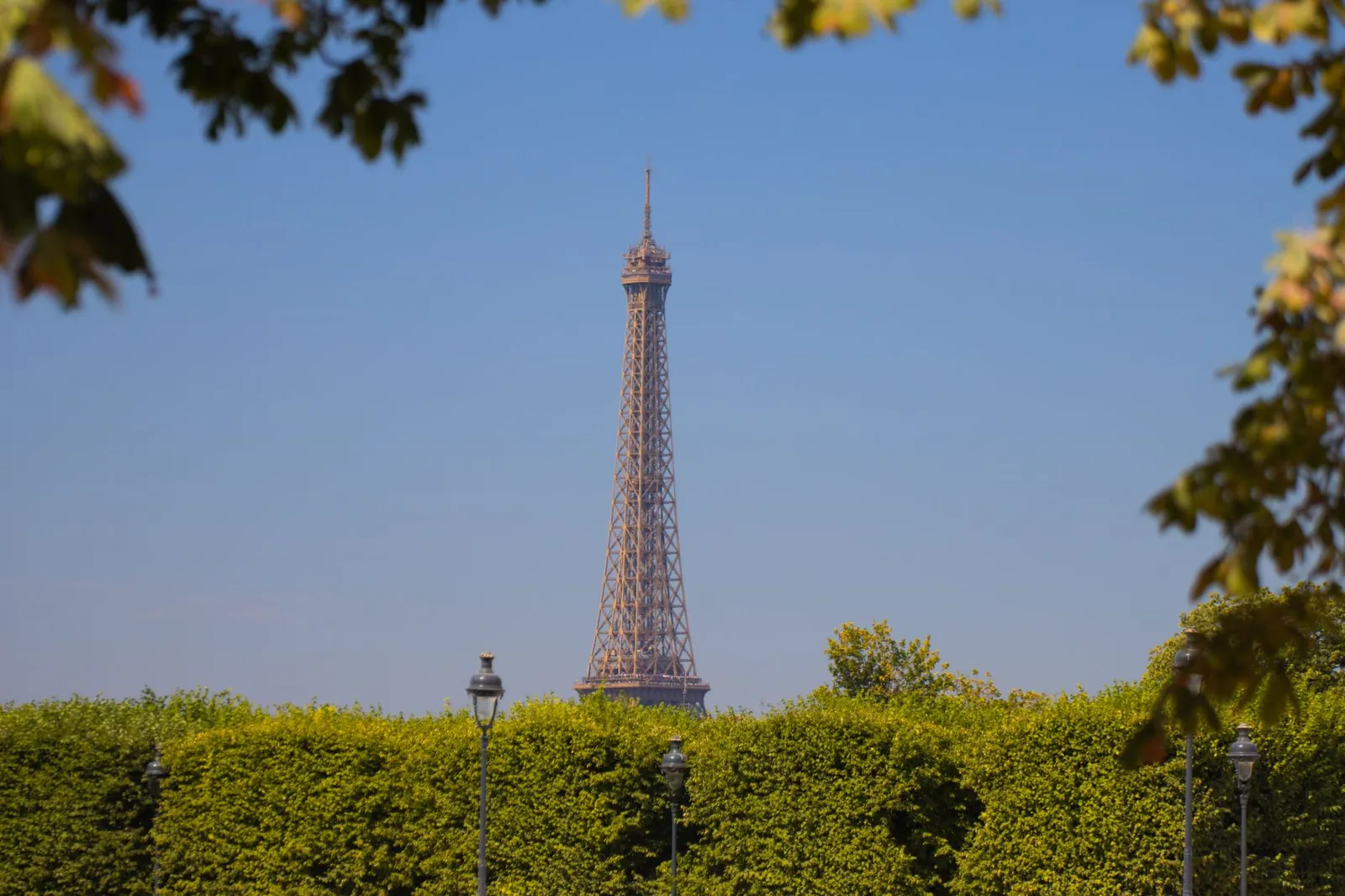 The Eiffel Tower framed by green trees against a clear blue sky in Paris, France