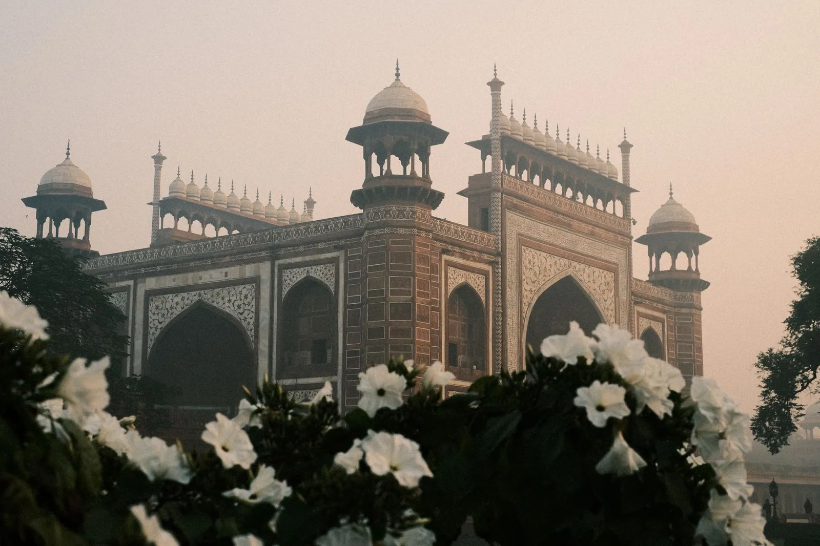 Vintage view of the beautiful Taj Mahal gate surrounded by white flowers in Agra, India