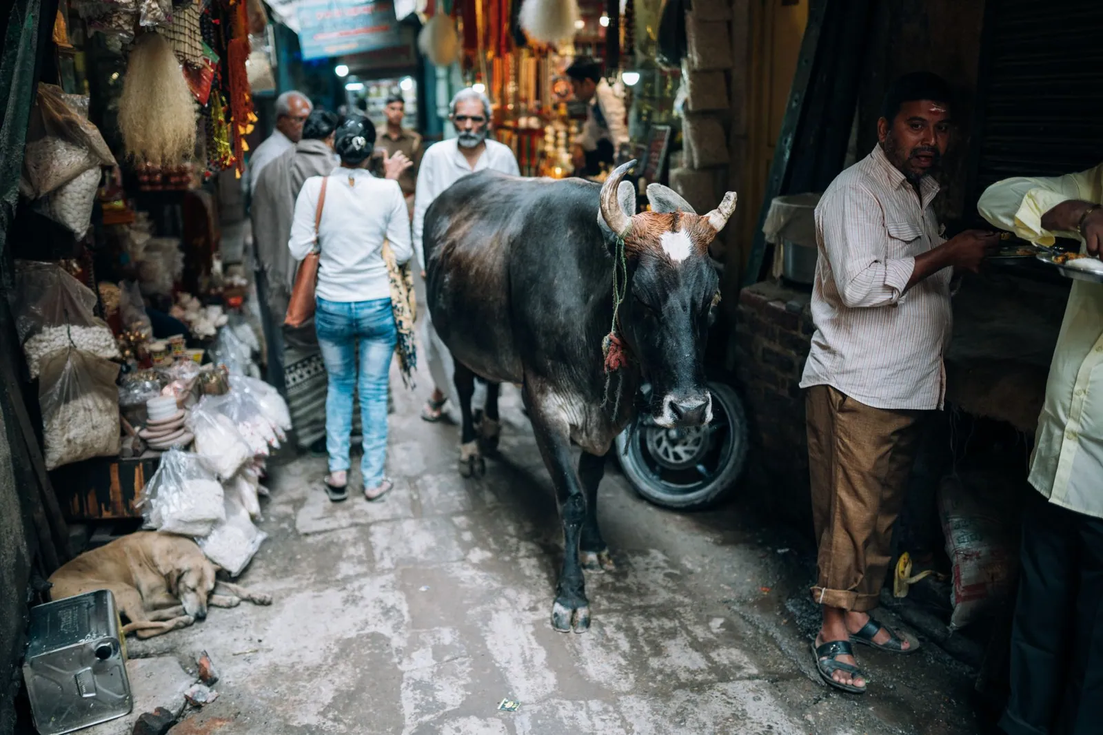 A cow walks through a busy Indian market bustling with people and stalls