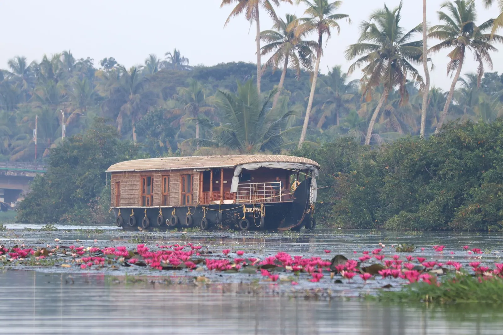Scenic view of a traditional houseboat cruising the Kerala backwaters surrounded by lush greenery and blooming water lilies.