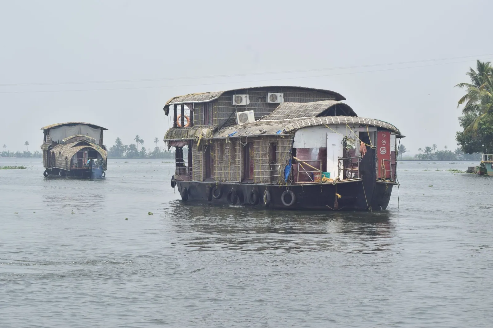 Traditional houseboats cruise the serene backwaters of Alappuzha, Kerala, India