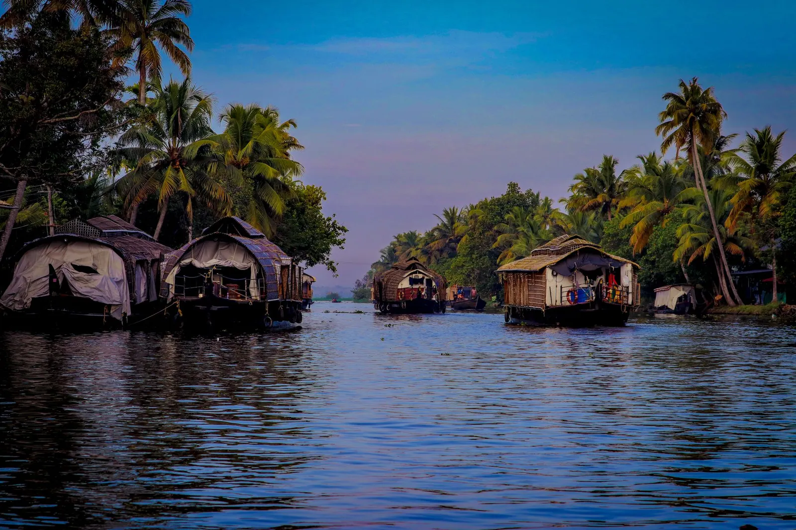Traditional houseboats cruise through lush palm-lined backwaters in Kerala, India.