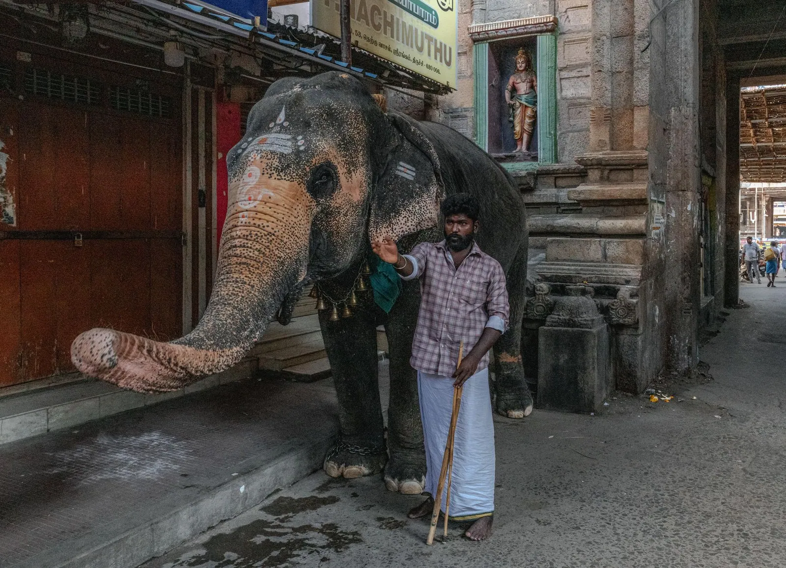 A local man stands with an elephant outside a temple in Tamil Nadu, India