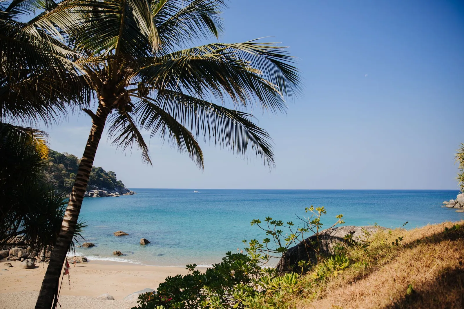Tropical beach view with palm trees and turquoise waters in Phuket, Thailand